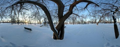 Centennial Park