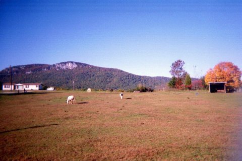 View of Hanging Rock from Flat Shoals Rd