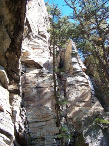 Pilot Mountain Rock