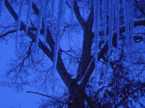 Icicles, before sunrise