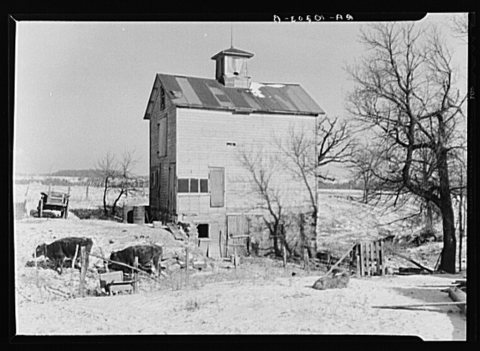Barnyard of Fred Morgenflash's farm near Marseilles, Illinois
