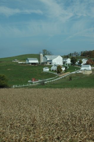 Amish Country Byway - Corn and White Fence