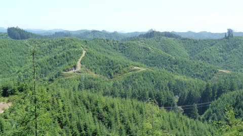 Looking inland
