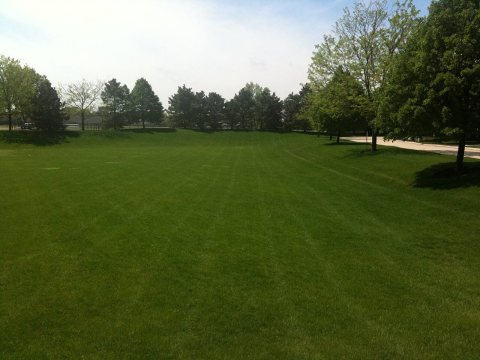 Empty artificial pond facing south