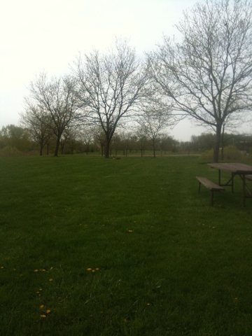 Forest preserve area