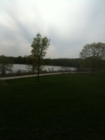 Forest preserve