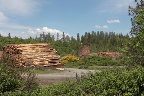 Sawmill yard