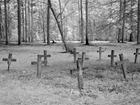 Historic Blakeley State Park, scene of the last major battle of the Civil War