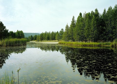 Lake Aspen