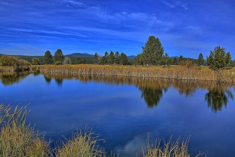 Pond at Sunriver Meadows course