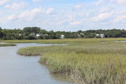 Houses by the marsh
