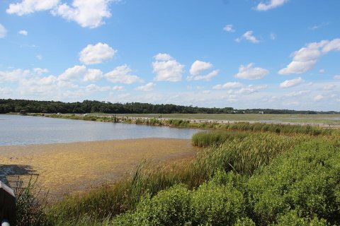 Causeway - panoramio (6)