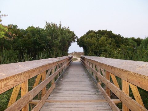 Boardwalk - panoramio (1)