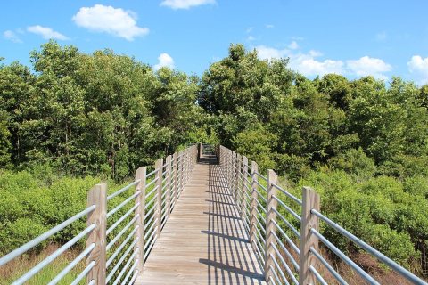 Boardwalk - panoramio (6)