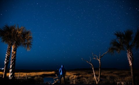 Coastal Carolina Nightlife (Unsplash)