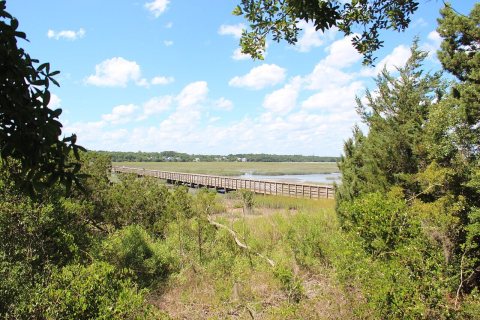 Boardwalk - panoramio (5)