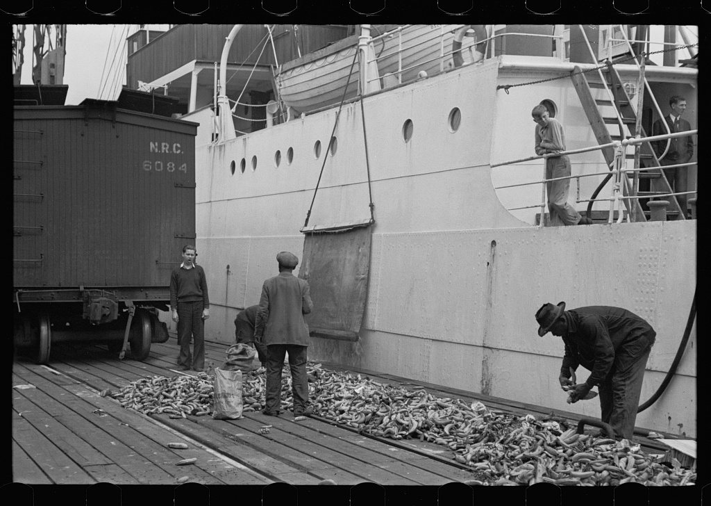 Dock scene