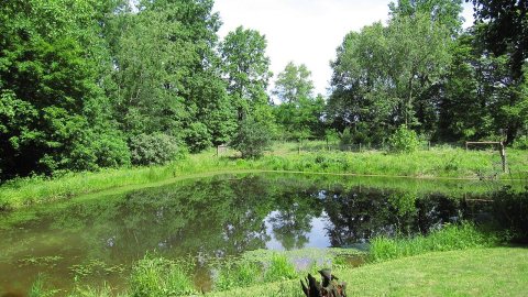 Rural Pond, Brown County, IN