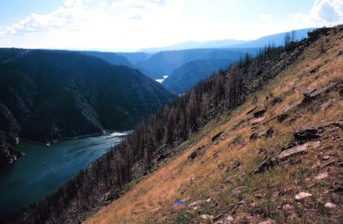 Flaming Gorge - Flaming Gorge, Undifferentiated