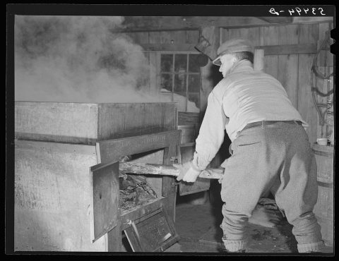 Mr. Walter M. Gaylord "firing" the King evaporator during boiling of maple syrup. Gaylord's farm