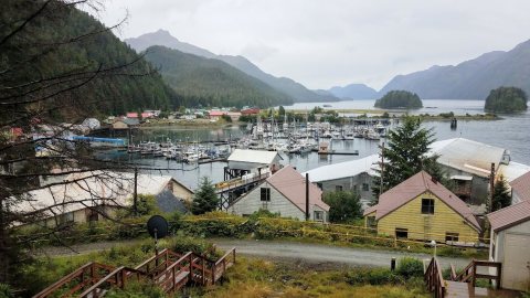 Pelican Alaska in August 2019