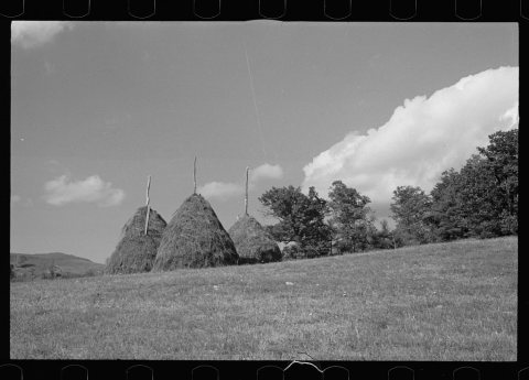 Untitled photo, possibly related to: Fields near Sperryville, Virginia