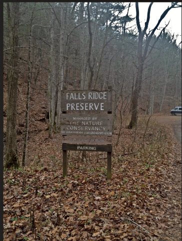 Falls Ridge Preserve
