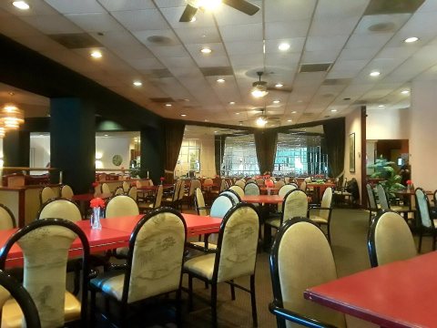 House of Dynasty achinese restaurant in Hayfield, Virginia 2