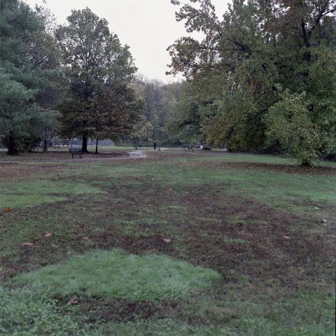 Park in the rain