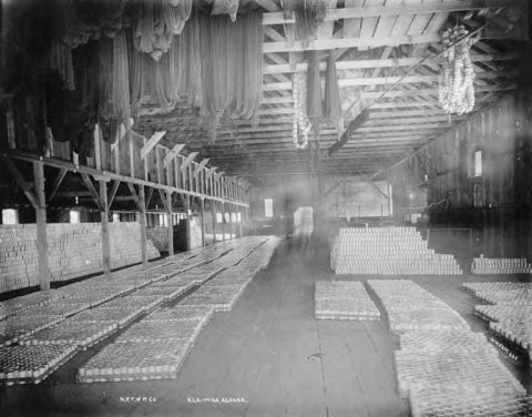 Hanging nets and pallets of cans inside N.P.T. & P. Company cannery in Klawock, Alaska, circa 1908