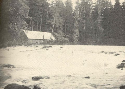 FMIB 38841 Hatchery at Klawak
