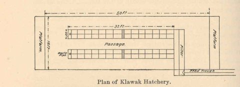 FMIB 38847 Plan of Klawak Hatchery