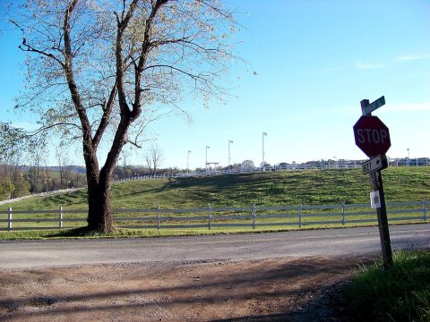 Mouth of Bobcat Lane