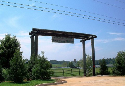 Mimosa Lake Park, Forever Wild