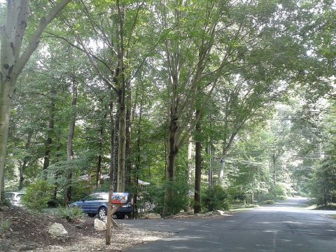 Roadway, George Mason CDP, Fairfax County, VA