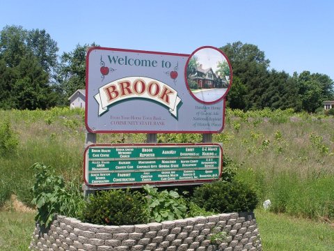 Brook P6280086