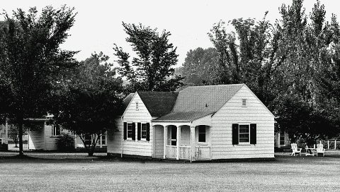 Untitled photo