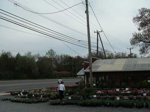 Franconia, Virginia