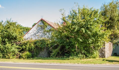 4125Catlett Restaurant-9586