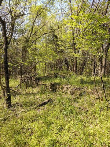 Slave Cabin Ruins