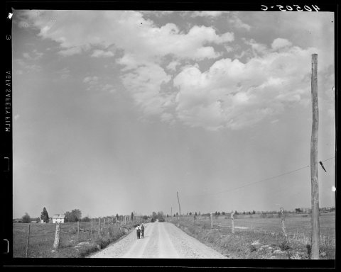 Untitled photo, possibly related to: Boys on way home from school. Near Sterling, Virginia