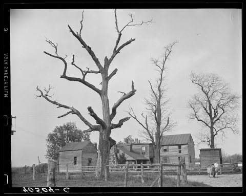 Untitled photo, possibly related to: Houses at crossroads, two miles west of Sterling
