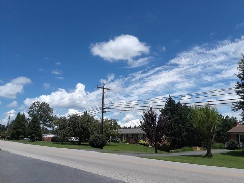 Roadside scene
