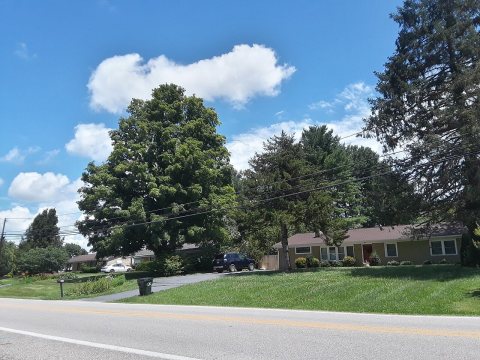 Residential area