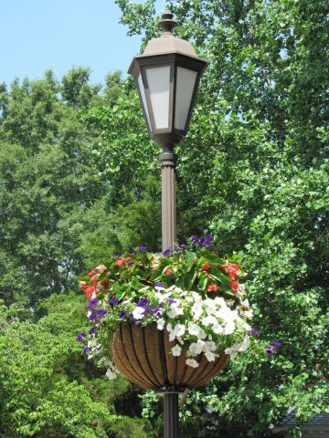 Gloucester, VA Flower Basket on lamp post. - By Chuck Thompson of TTC Media