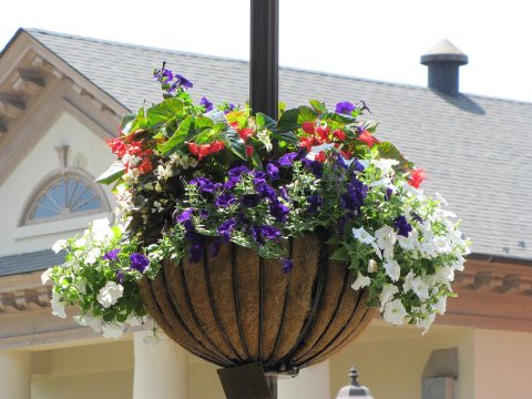 Gloucester, VA Flower Basket - By Chuck Thompson of TTC Media