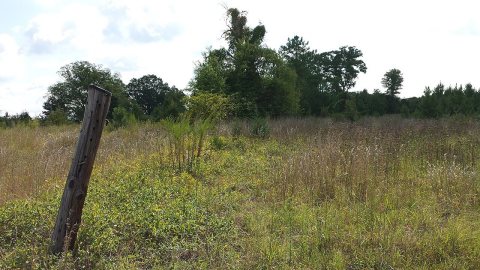 Ashland UDC Jefferson Davis Highway Marker in
