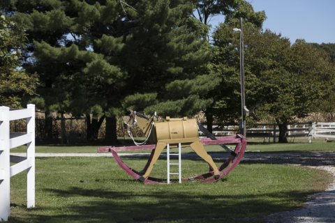 An oversized, but creative, hobby horse on a Hendricks County, Indiana, farm, near the town of Lizton