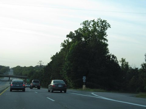 US Route 301 - Virginia (8117245919) (2)