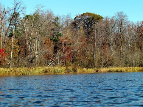 Dutch Gap Conservation Area Chester VA 8635